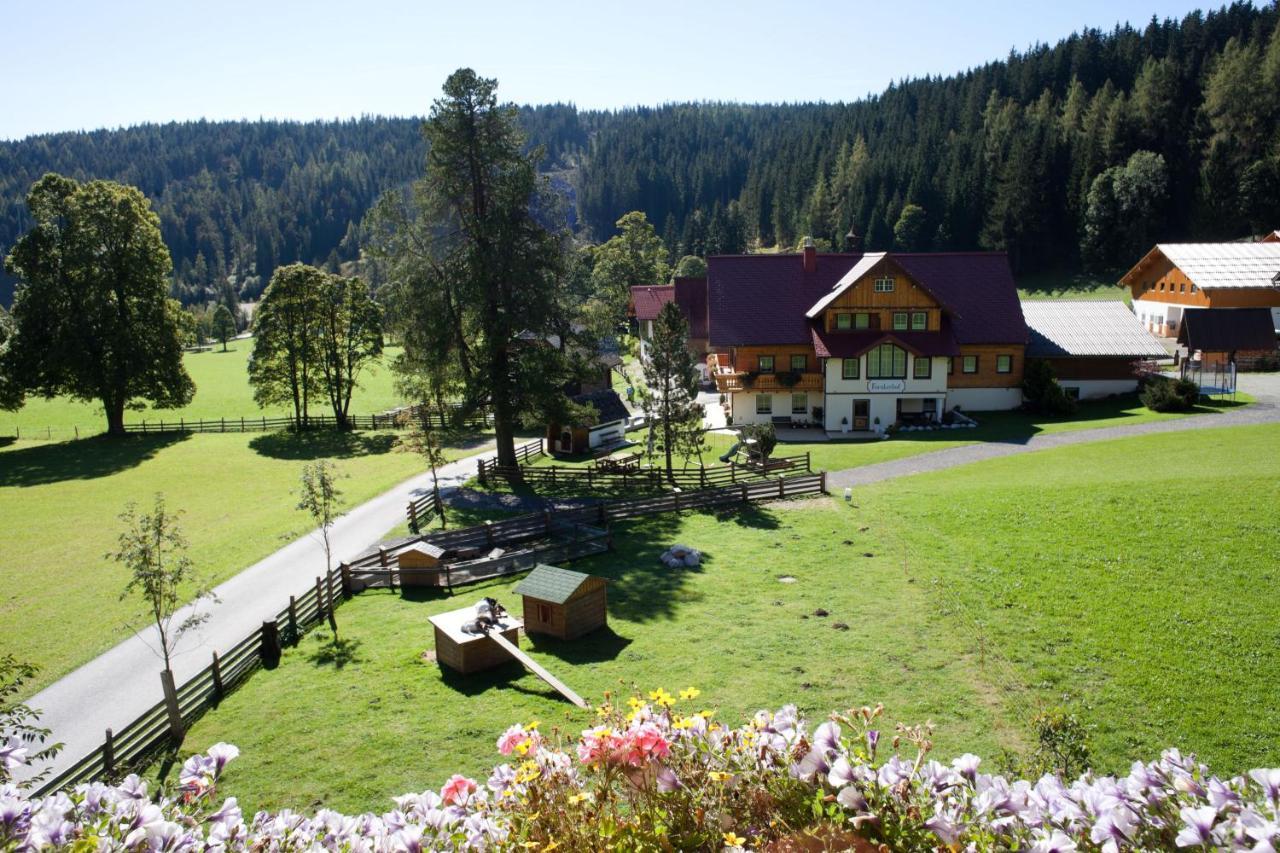 Ferienwohnung Alpenecho Ramsau am Dachstein Extérieur photo