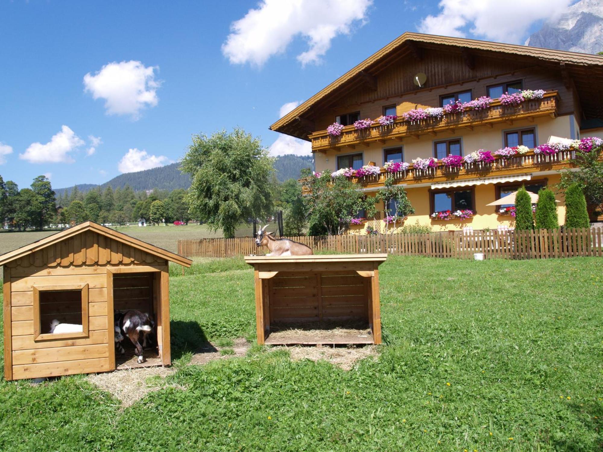 Ferienwohnung Alpenecho Ramsau am Dachstein Extérieur photo